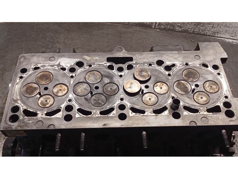 Recambio de culata para seat leon (1p1) 2.0 tdi 16v referencia OEM IAM 03G103373A  