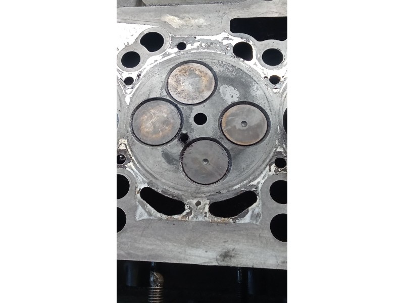 Recambio de culata para seat leon (1p1) 2.0 tdi 16v referencia OEM IAM 03G103373A  