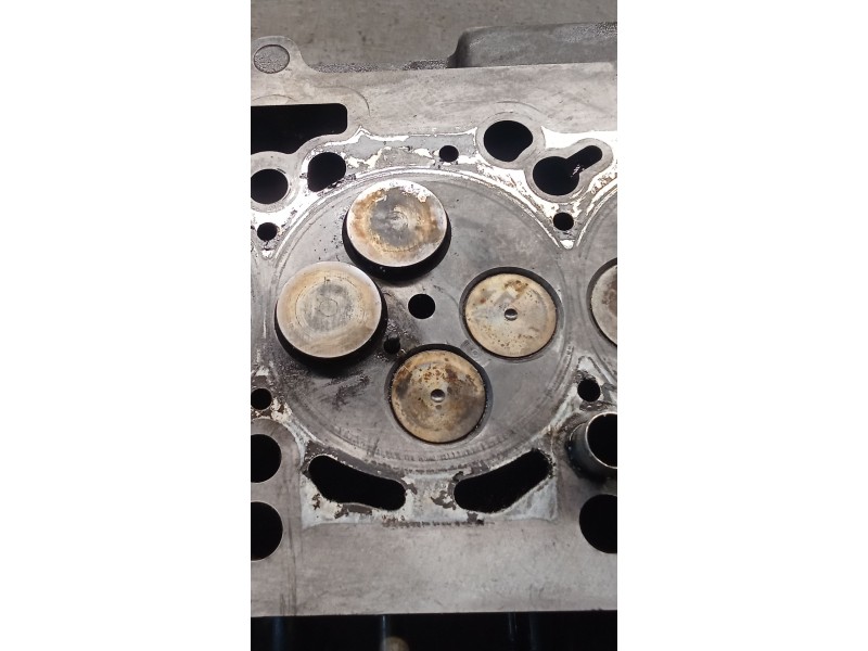 Recambio de culata para seat leon (1p1) 2.0 tdi 16v referencia OEM IAM 03G103373A  