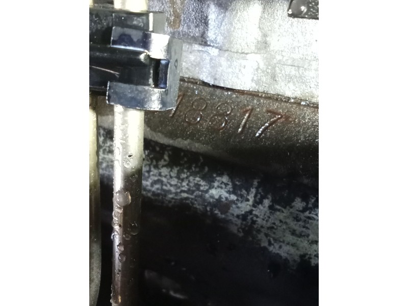 Recambio de motor completo para peugeot 505 (551a) 2.5 diesel referencia OEM IAM P152WC ROTODIESEL 018817