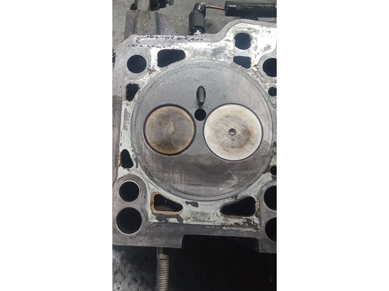 Recambio de culata para skoda octavia ii (1z3) 1.9 tdi referencia OEM IAM 038103373R BJB 04