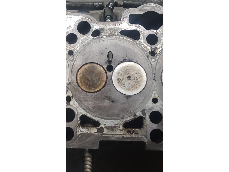 Recambio de culata para skoda octavia ii (1z3) 1.9 tdi referencia OEM IAM 038103373R BJB 04