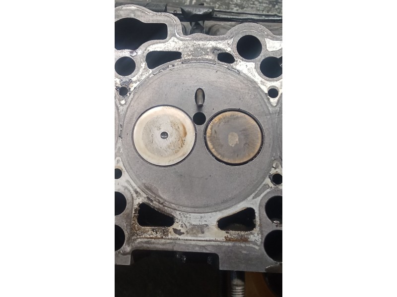 Recambio de culata para skoda octavia ii (1z3) 1.9 tdi referencia OEM IAM 038103373R BJB 04