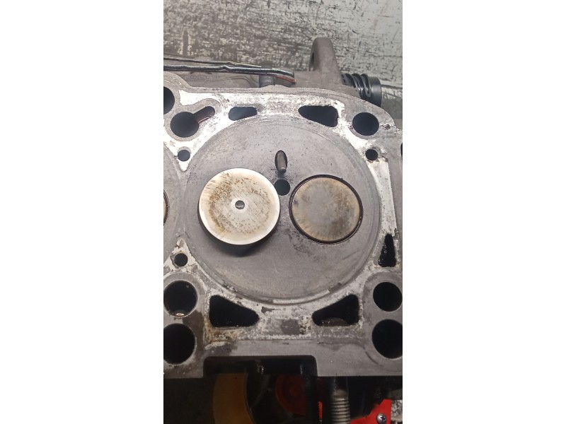 Recambio de culata para skoda octavia ii (1z3) 1.9 tdi referencia OEM IAM 038103373R BJB 04