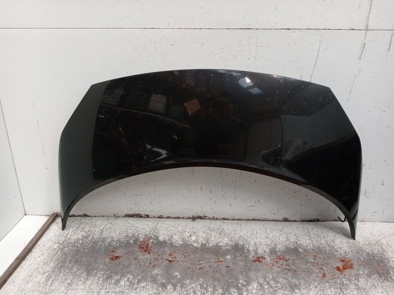 Recambio de capot para renault scénic ii (jm0/1_) 1.5 dci (jm1e, jm16) referencia OEM IAM   2006