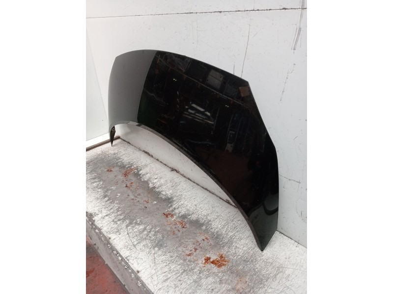 Recambio de capot para renault scénic ii (jm0/1_) 1.5 dci (jm1e, jm16) referencia OEM IAM   2006