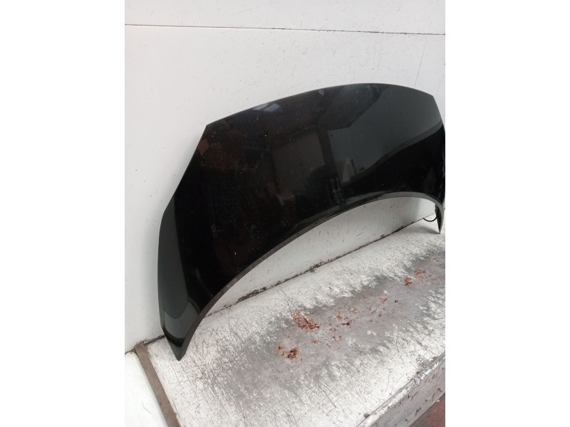 Recambio de capot para renault scénic ii (jm0/1_) 1.5 dci (jm1e, jm16) referencia OEM IAM   2006