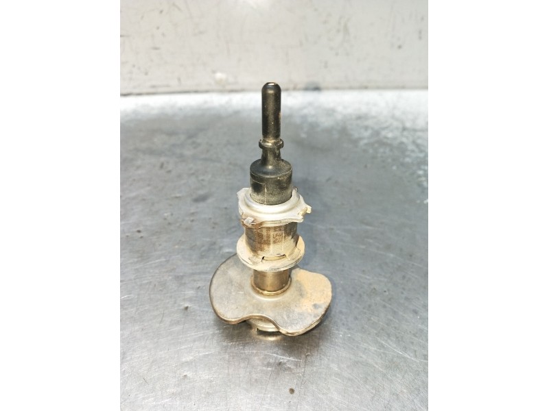 Recambio de inyector para audi q3 (f3b) 35 tdi referencia OEM IAM 0444021118 240622100728 ADBLUE 24