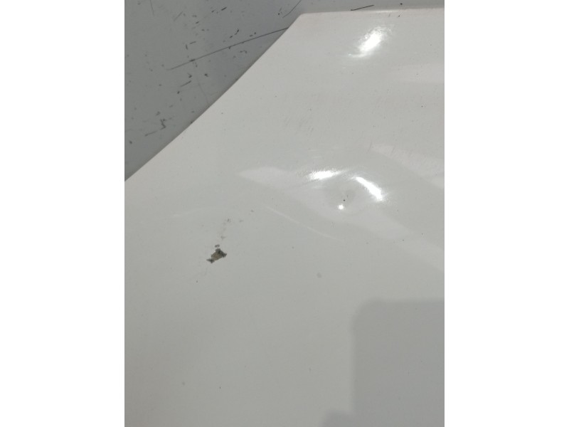 Recambio de capot para fiat seicento / 600 (187_) 1.1 (187axb, 187axb1a, 187axc1a02) referencia OEM IAM   3P