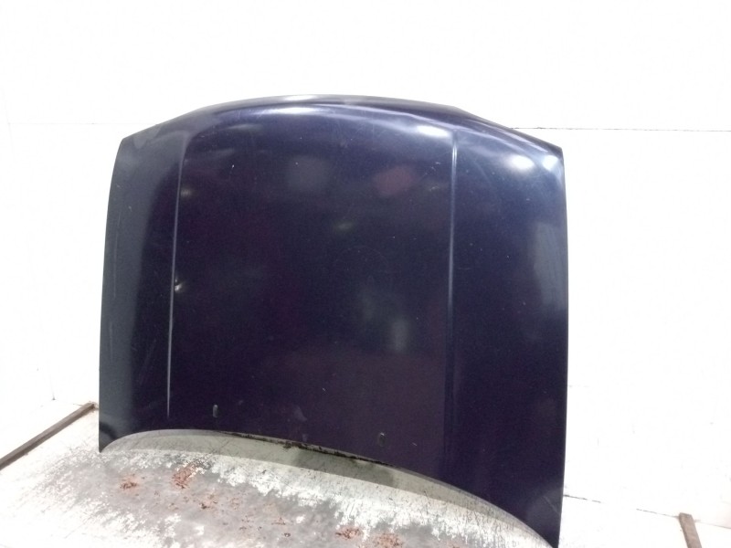 Recambio de capot para volkswagen golf iii (1h1) 1.9 tdi referencia OEM IAM   5P