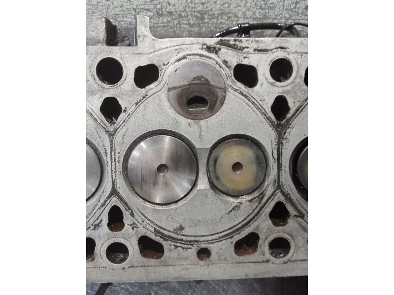 Recambio de culata para citroën berlingo / berlingo first furgoneta/monovolumen (m_) 1.9 d 70 (mbwjz, mcwjz) referencia OEM IAM 