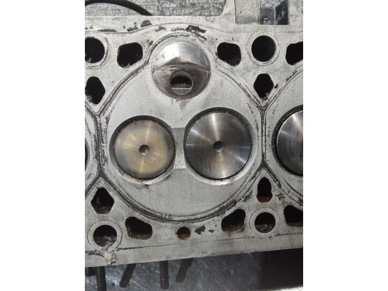 Recambio de culata para citroën berlingo / berlingo first furgoneta/monovolumen (m_) 1.9 d 70 (mbwjz, mcwjz) referencia OEM IAM 