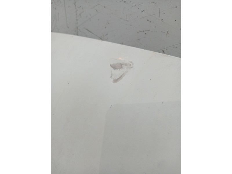 Recambio de capot para ford fiesta v (jh_, jd_) 1.6 tdci referencia OEM IAM  3P 