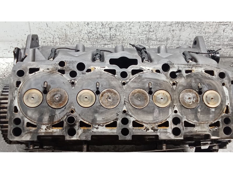 Recambio de culata para volkswagen passat b5.5 (3b3) 1.9 tdi referencia OEM IAM 038103373R AVB 01