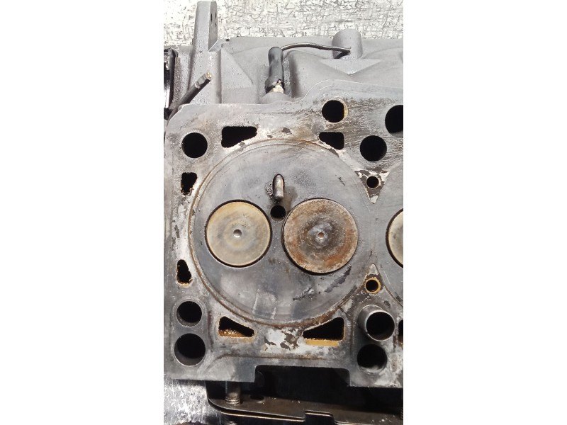Recambio de culata para volkswagen passat b5.5 (3b3) 1.9 tdi referencia OEM IAM 038103373R AVB 01