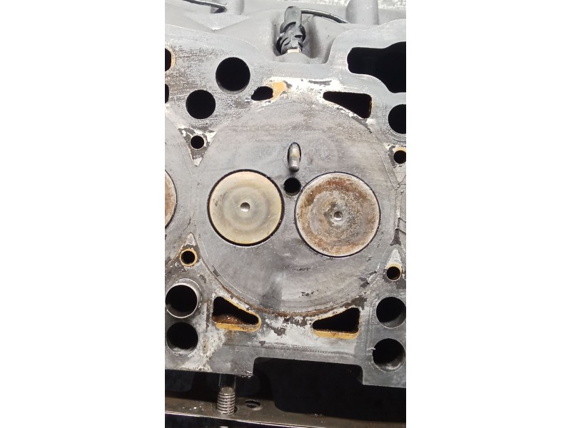 Recambio de culata para volkswagen passat b5.5 (3b3) 1.9 tdi referencia OEM IAM 038103373R AVB 01