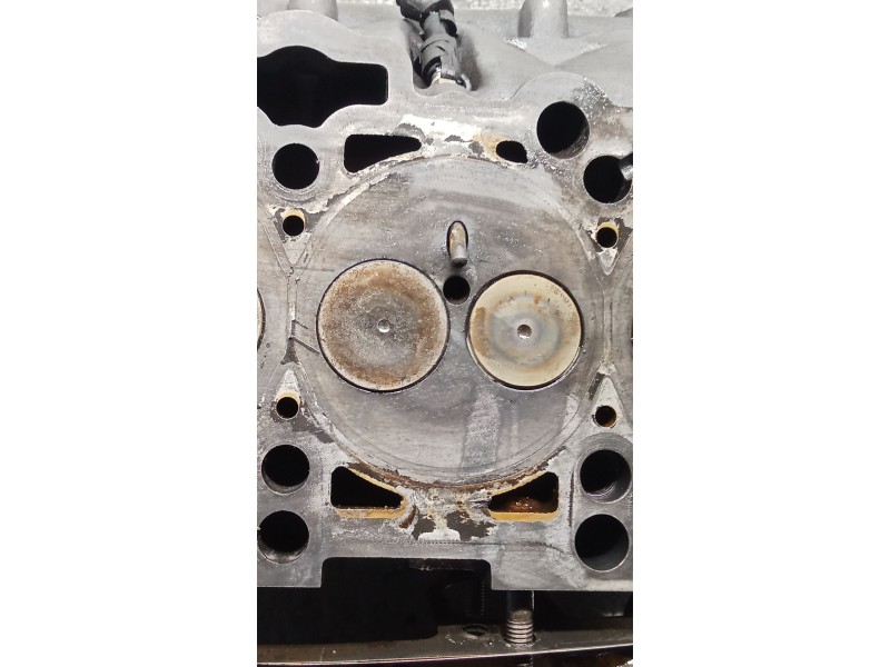 Recambio de culata para volkswagen passat b5.5 (3b3) 1.9 tdi referencia OEM IAM 038103373R AVB 01