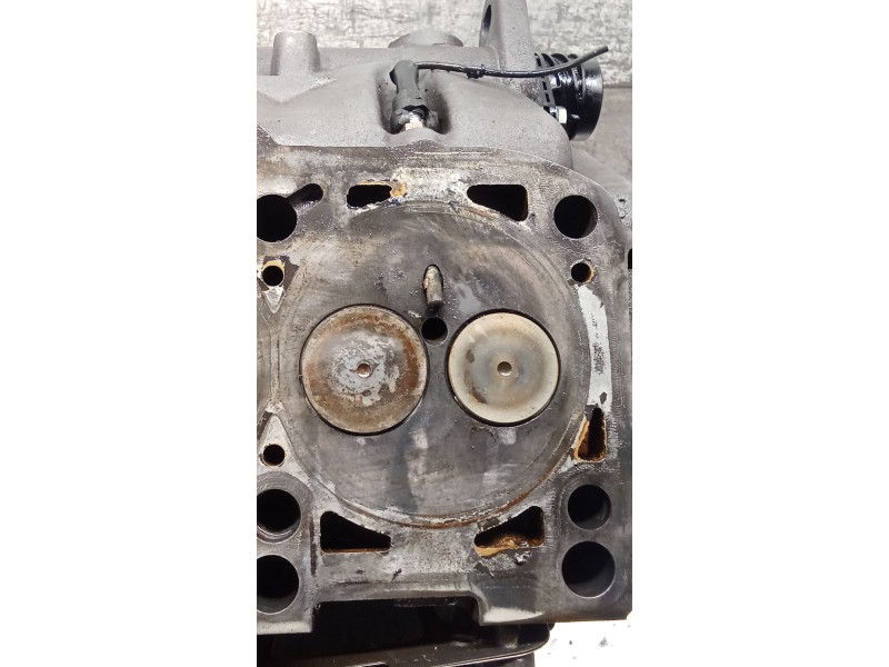 Recambio de culata para volkswagen passat b5.5 (3b3) 1.9 tdi referencia OEM IAM 038103373R AVB 01