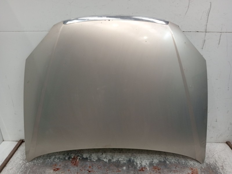 Recambio de capot para fiat croma (194_) 1.9 d multijet (194axb1b) referencia OEM IAM   2005