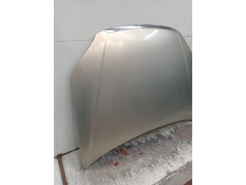 Recambio de capot para fiat croma (194_) 1.9 d multijet (194axb1b) referencia OEM IAM   2005