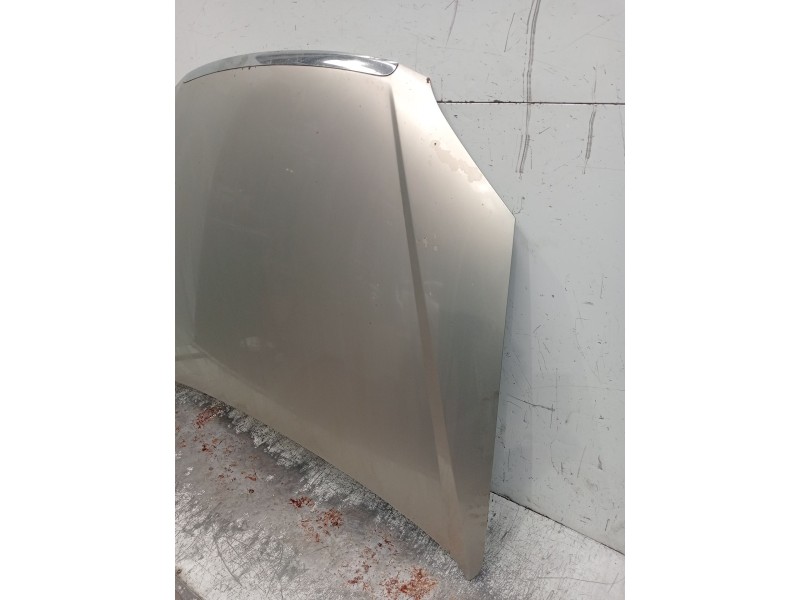 Recambio de capot para fiat croma (194_) 1.9 d multijet (194axb1b) referencia OEM IAM   2005