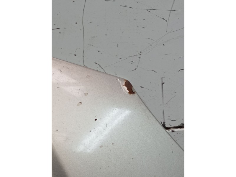 Recambio de capot para fiat croma (194_) 1.9 d multijet (194axb1b) referencia OEM IAM   2005