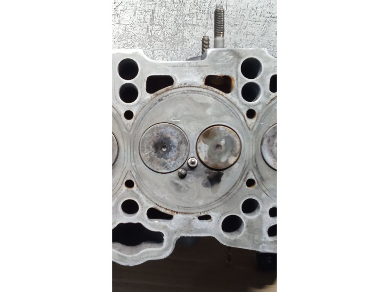 Recambio de culata para volkswagen new beetle (9c1, 1c1) 1.9 tdi referencia OEM IAM 038103373E ALM 98