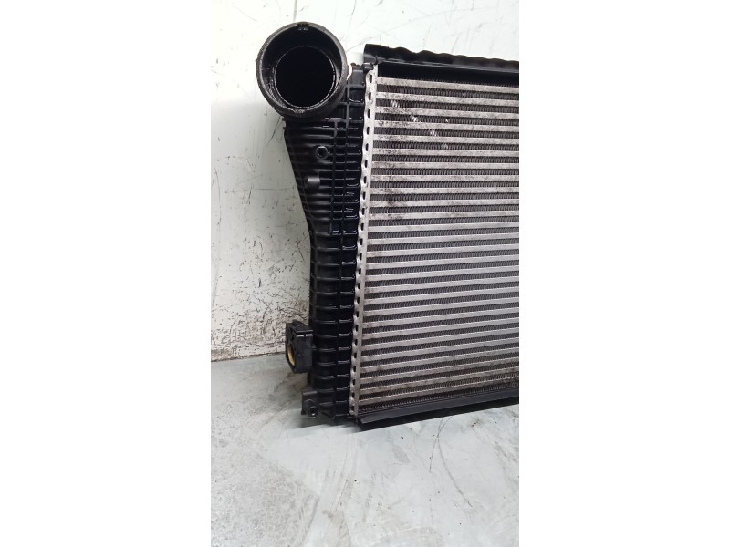 Recambio de intercooler para volkswagen golf v (1k1) 1.9 tdi referencia OEM IAM 1K0145803A  03