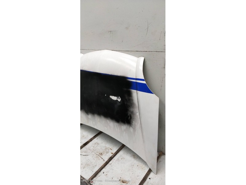 Recambio de capot para nissan kubistar (x76) premium (l1) referencia OEM IAM   