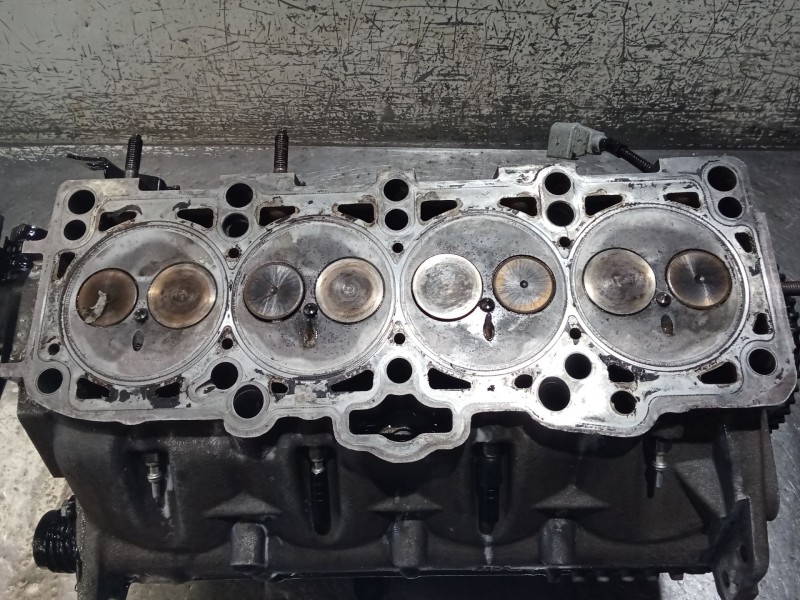 Recambio de culata para seat ibiza iv sc (6j1, 6p5) 1.9 tdi referencia OEM IAM   