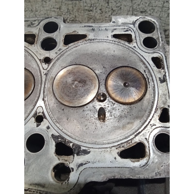 Recambio de culata para seat ibiza iv sc (6j1, 6p5) 1.9 tdi referencia OEM IAM   