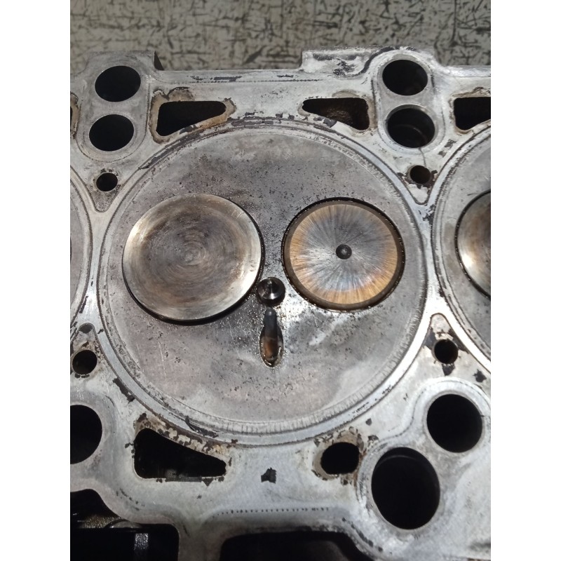 Recambio de culata para seat ibiza iv sc (6j1, 6p5) 1.9 tdi referencia OEM IAM   