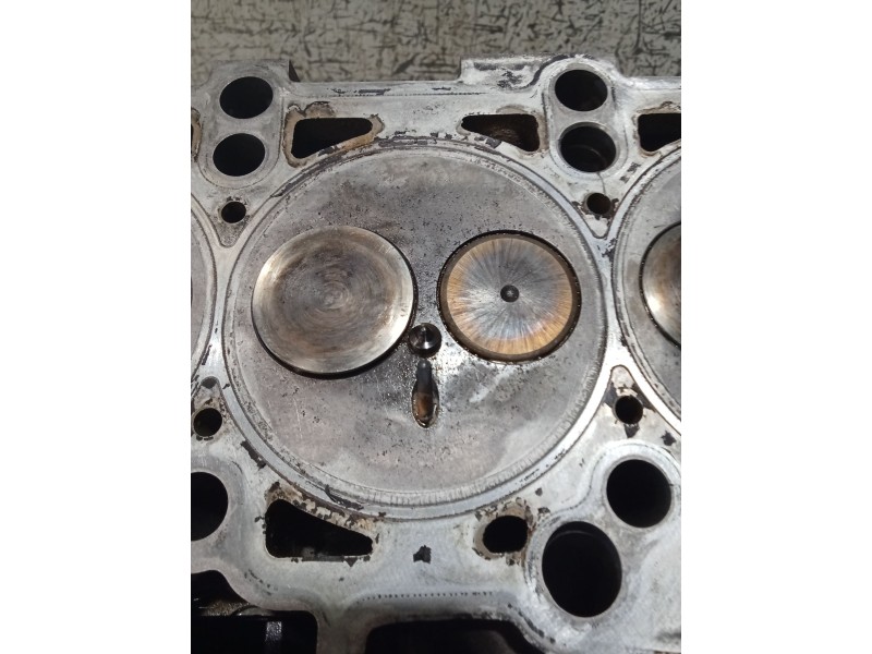 Recambio de culata para seat ibiza iv sc (6j1, 6p5) 1.9 tdi referencia OEM IAM   