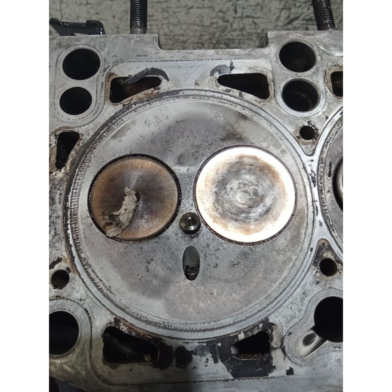 Recambio de culata para seat ibiza iv sc (6j1, 6p5) 1.9 tdi referencia OEM IAM   