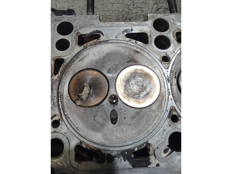 Recambio de culata para seat ibiza iv sc (6j1, 6p5) 1.9 tdi referencia OEM IAM   