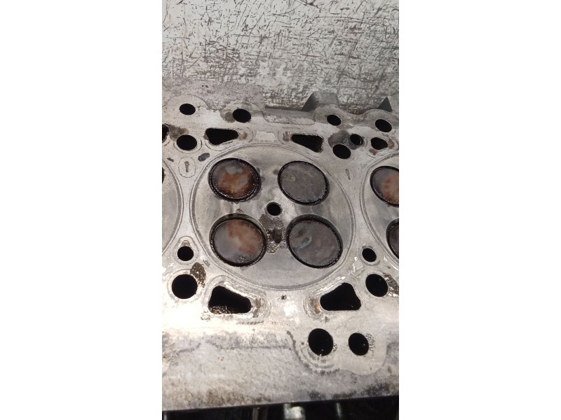 Recambio de culata para nissan x-trail i (t30) 2.2 di 4x4 referencia OEM IAM  ID22 01