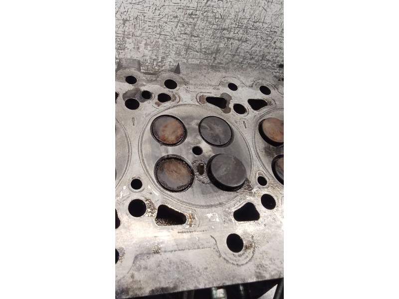 Recambio de culata para nissan x-trail i (t30) 2.2 di 4x4 referencia OEM IAM  ID22 01