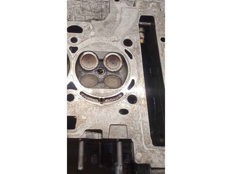 Recambio de culata para citroën c4 ii (nc_) 1.4 vti 95 referencia OEM IAM  8F01 09