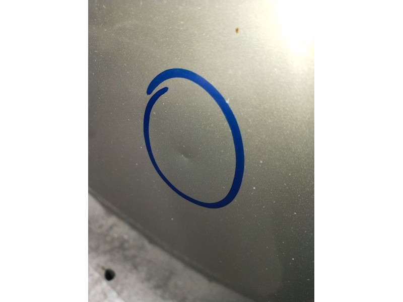 Recambio de capot para daewoo kalos (klas) 1.4 referencia OEM IAM  VER FOTOS 2002