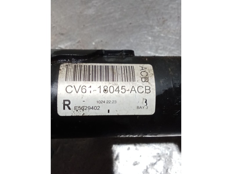 Recambio de amortiguador delantero derecho para ford kuga (cbs) trend referencia OEM IAM   