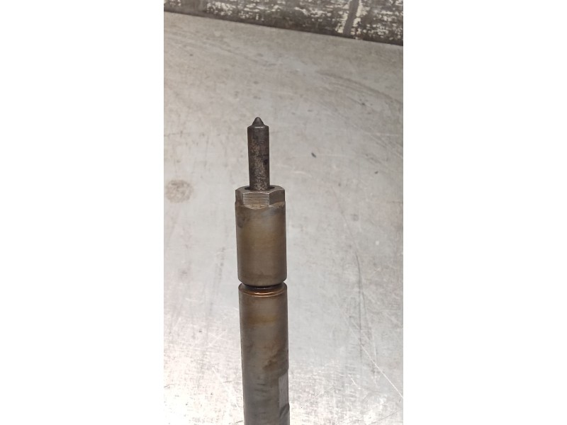 Recambio de inyector para peugeot 406 coupé (8c) 2.2 hdi referencia OEM IAM 044510036 9637277980 BOSCH