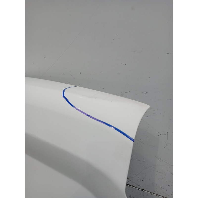 Recambio de puerta trasera derecha para fiat doblo cargo (263_) 1.3 d multijet referencia OEM IAM  5P 