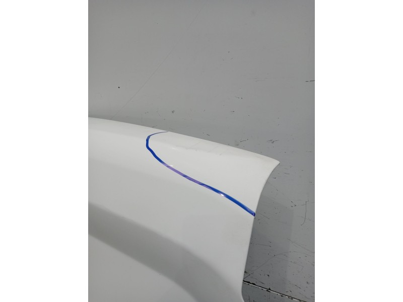 Recambio de puerta trasera derecha para fiat doblo cargo (263_) 1.3 d multijet referencia OEM IAM  5P 