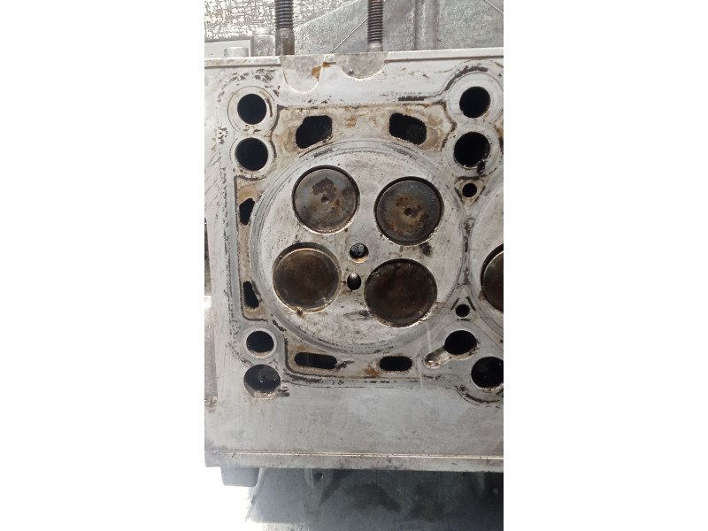 Recambio de culata para seat exeo (3r2) 2.0 tdi referencia OEM IAM 03L103373E CAG 08