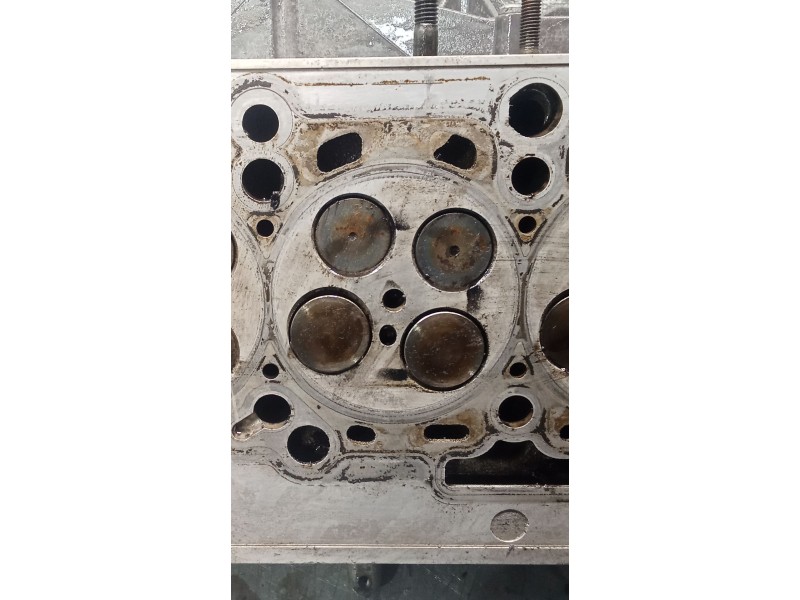 Recambio de culata para seat exeo (3r2) 2.0 tdi referencia OEM IAM 03L103373E CAG 08