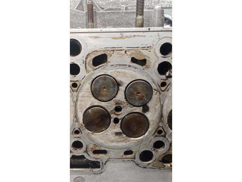 Recambio de culata para seat exeo (3r2) 2.0 tdi referencia OEM IAM 03L103373E CAG 08