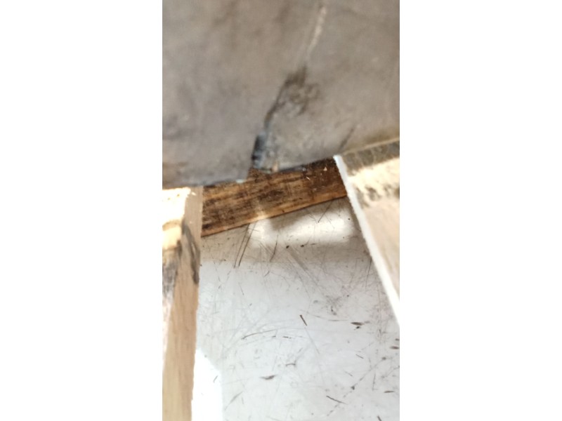 Recambio de motor completo para audi a3 (8l1) 1.9 tdi referencia OEM IAM ASV BOSCH 041900