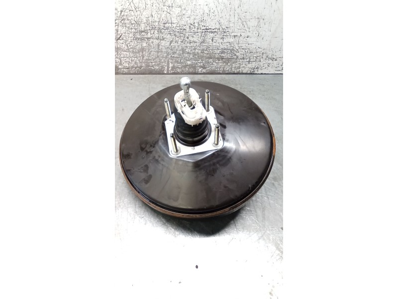 Recambio de servofreno para fiat ducato furgoneta (250_) 160 multijet 3,0 d referencia OEM IAM 0204051290 51837324 06
