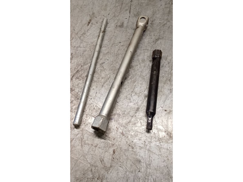 Recambio de gato para fiat ducato furgoneta (250_) 160 multijet 3,0 d referencia OEM IAM 1353195080  06