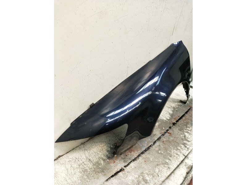 Recambio de aleta delantera izquierda para volkswagen passat b5.5 (3b3) 1.9 tdi 4motion referencia OEM IAM   2001